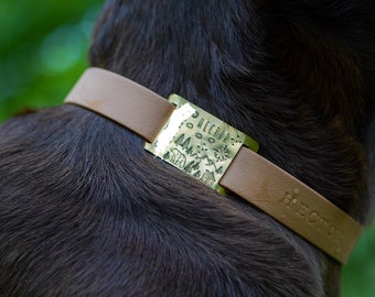 May include: A brown leather dog collar with a gold metal tag that says "Hector" and has a design of trees and a compass.