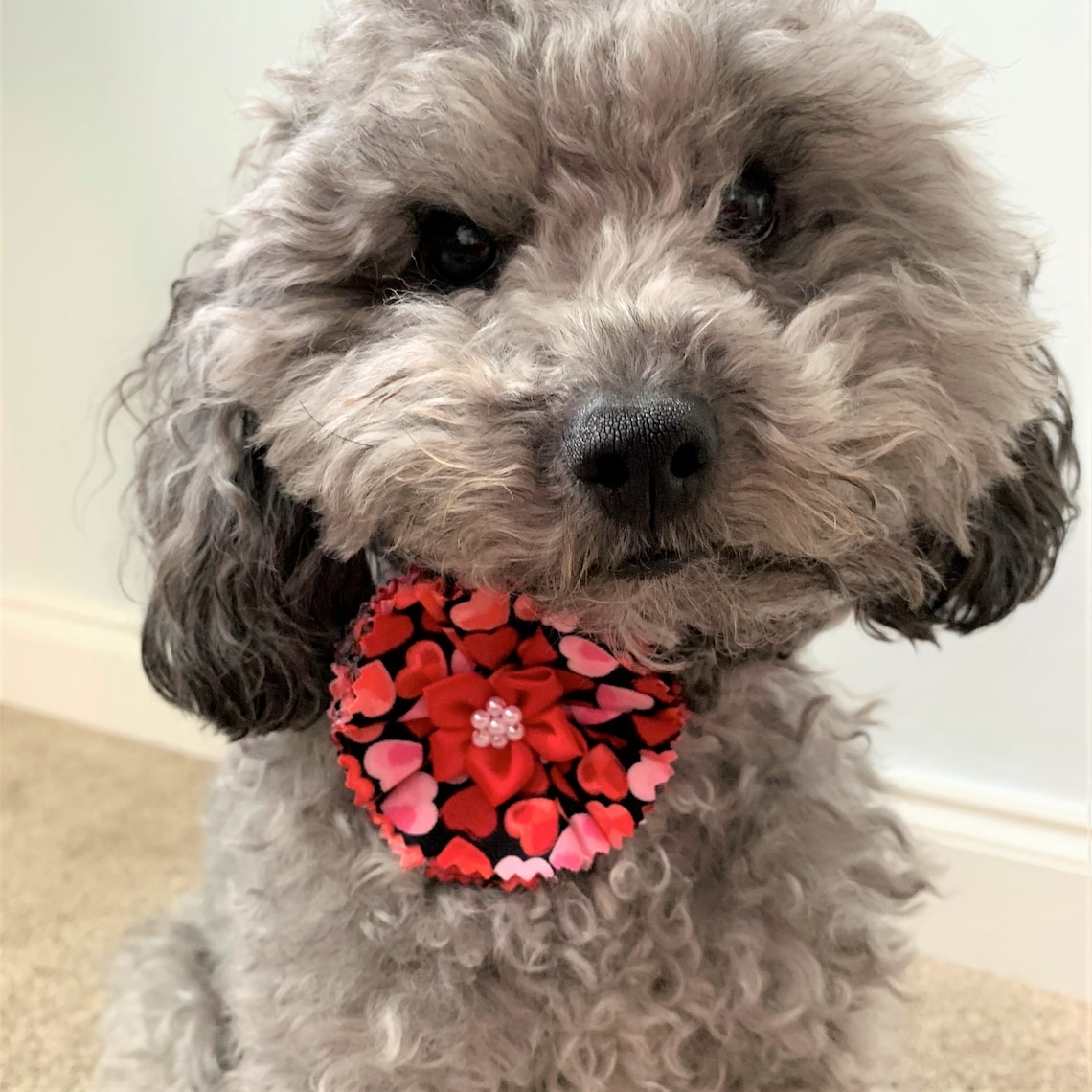 Valentine's Dog Bow / Flower / bowtie Handmade Pink & Etsy