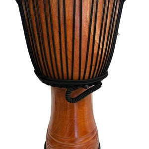 Terre Djembe Afrika Standard line carve, 20 tall 9-69.5 head, 24 tall 10.5-11 head, 26 tall 13 head image 2