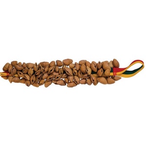 Seed Shaker (Juju Chacha Pangi Pala) Hand bell Percussion Accessories