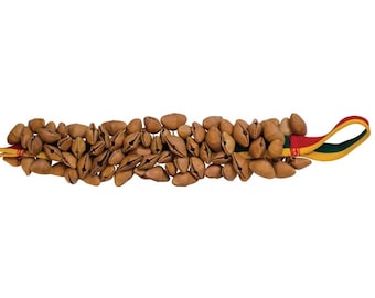 Seed Shaker (Juju Chacha Pangi Pala) Campanello a mano Accessori per percussioni