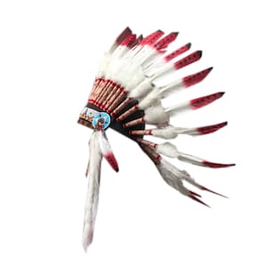 May include: A white and red feathered headdress with a brown base. The headdress has a blue and white beaded design.