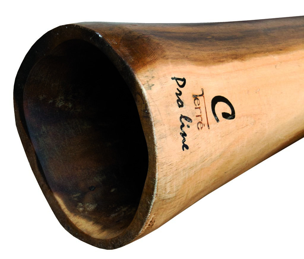 Didgeridoo Eucalyptus Proline including Bag 5963 inch Tone D Etsy