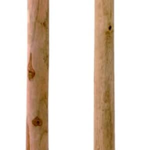 ディジュリドゥ Didgeridoo - 世界の楽器 RAGAM