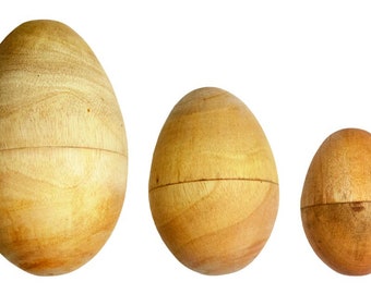 Egg shakers with different style