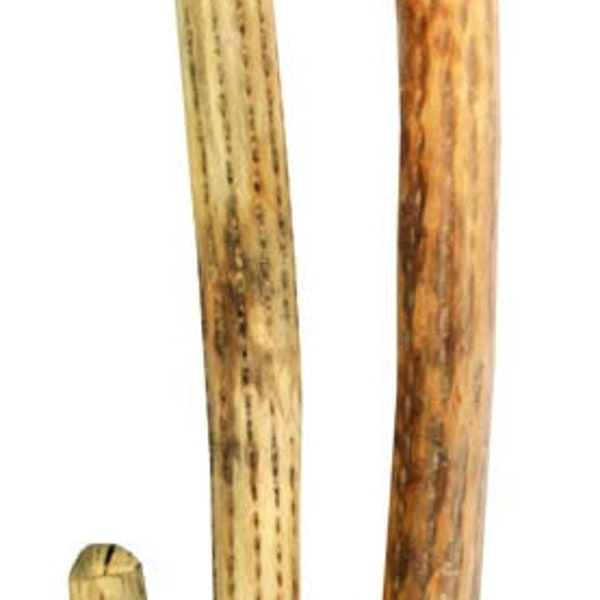 Terre Chilean Rain Stick Rain Maker Length 10" 20" 30" 40" 59",Diameter 1.6-2.4 inch,2.4-3.2 inch made of the Copado Cactus