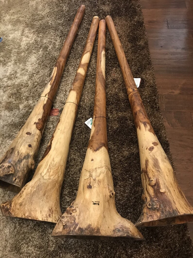Handmade Didgeridoo Root Eucalyptus 59 Length Huge 15 Etsy