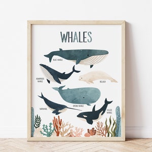 Whales Print, Watercolor Wales, Nursery Printable Wall Art, Boys Room Decor, Nautical Nursery Decor, Kids Room Wall Art, Whales Art Print