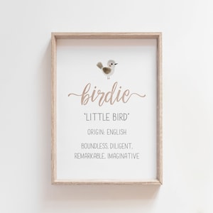 Birdie Name Meaning Print, Birdie Name Art, Baby Shower Gift, Girls Room Decor, Nursery Name Sign, Girl Name Print, Gift for Girl