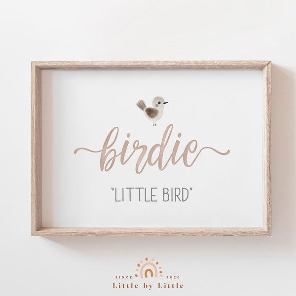 Birdie Namensschild, Birdie Name Bedeutung Print, Baby-Dusche-Geschenk, Mädchen-Raum-Dekor, Kinderzimmer Namensschild, Mädchen-Namens-Druck, Geschenk für Mädchen