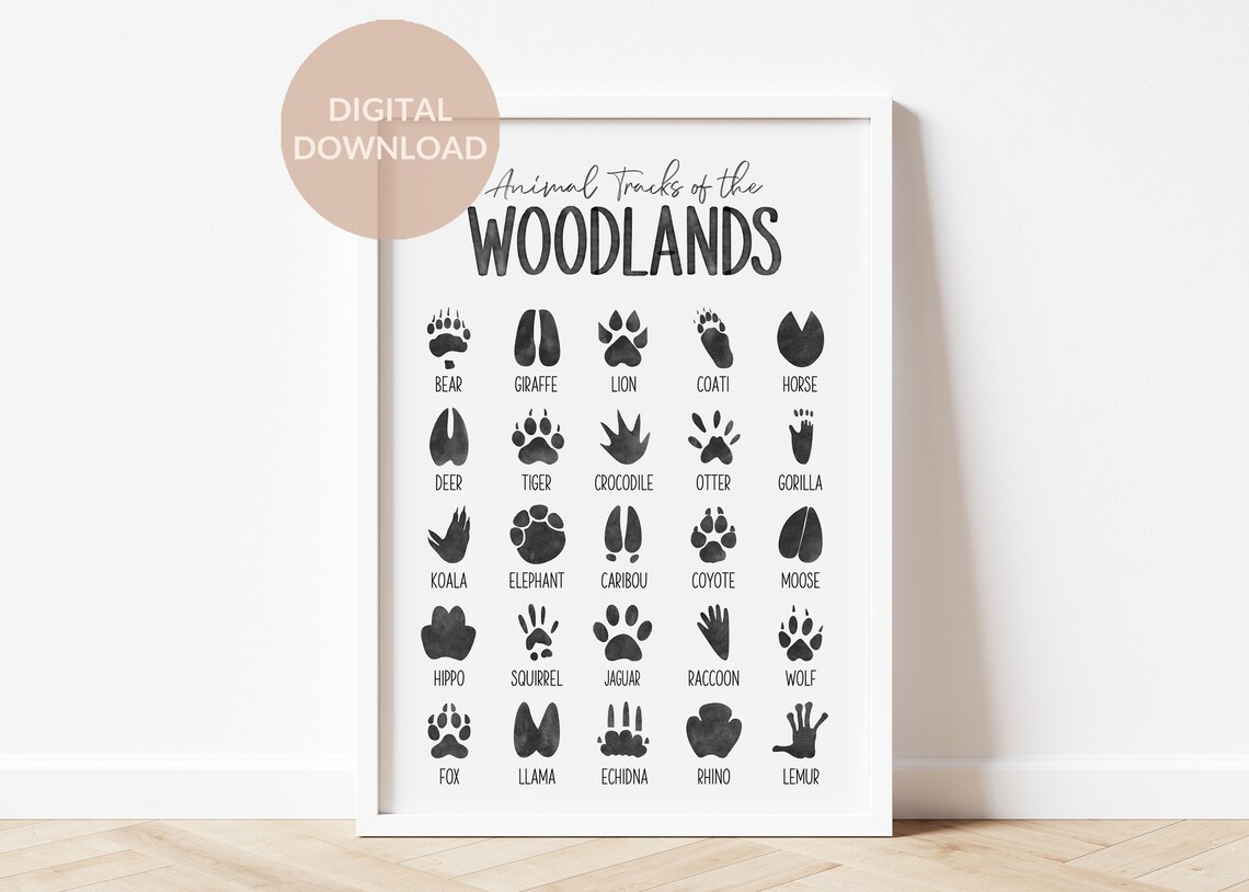 Woodland Animal Tracks Printable Animal Footprints Animal - Etsy