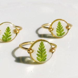 Real Fern Ring