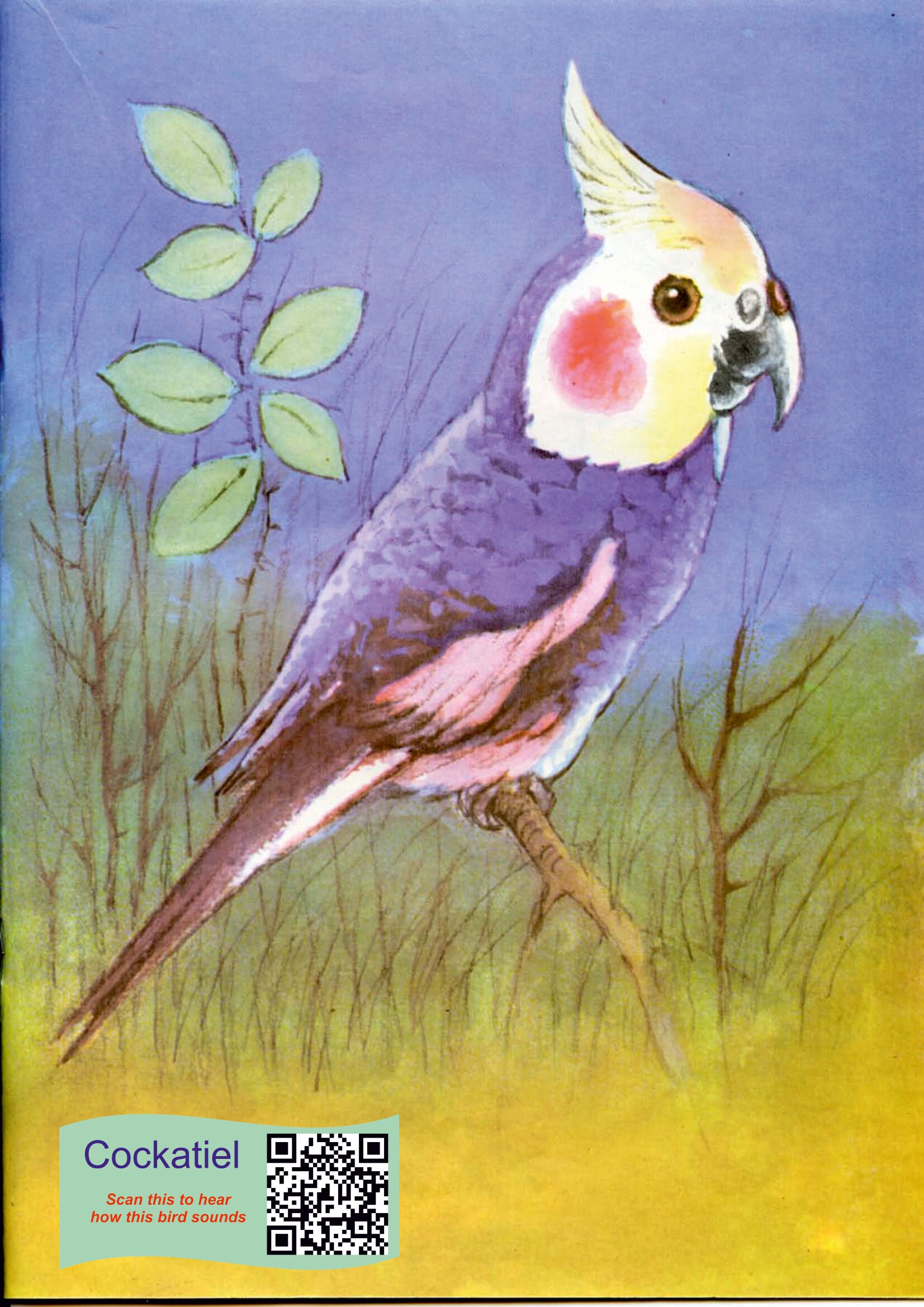 Printable Colouring Book for Kids, Birds Colouring, Coloring ...