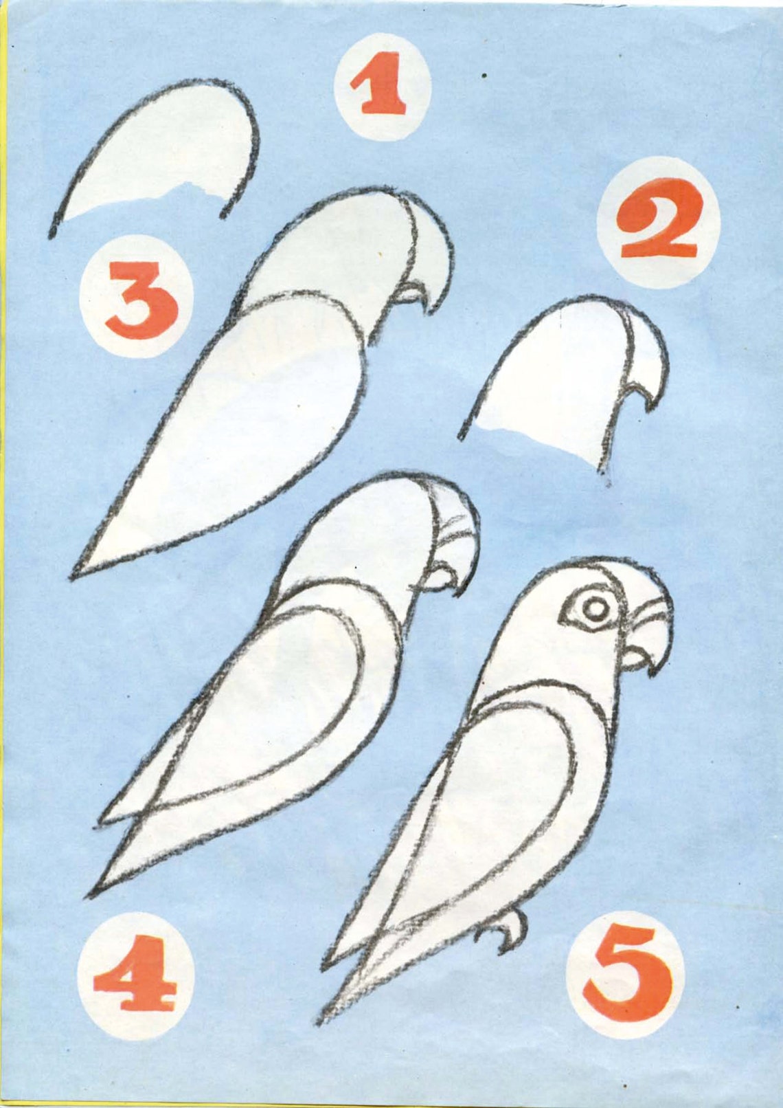 Birds Drawing For Colouring For Kids