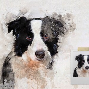 May include: Watercolor painting of a black and white border collie dog. The dog is looking directly at the viewer with a serious expression. The painting is done in a soft, muted palette and has a painterly, abstract feel.