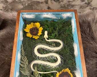 Squelette de serpent - oeuvre d'art en os - Shadowbox - « Forever Meadow » - oeuvre d'art squelette - serpent - boa - oeuvre d'art cottagecore - oeuvre de bizarrerie - bizarrerie - décoration murale