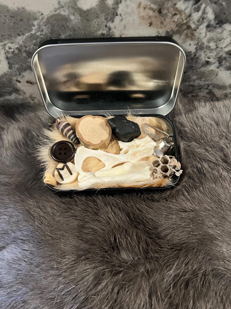 May include: A small metal tin filled with various objects, including a bone, a button, a piece of wood, a black rock, and a honeycomb. The tin is open and the objects are visible.