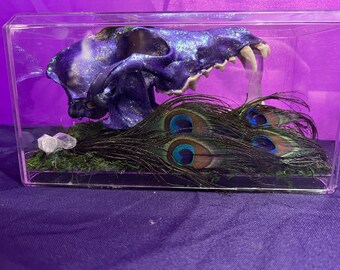 Fairycore Coyote Skull Art: Shimmering Purple, Peacock Feathers