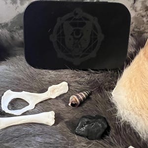 May include: A black metal box with a circular design featuring a crescent moon and a stylized eye. The box is sitting on a furry surface with various objects, including bones, a seashell, and a black rock.