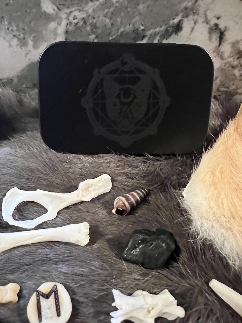 May include: A black metal box with a circular design featuring a crescent moon and a stylized eye. The box is sitting on a furry surface with various objects, including bones, a seashell, and a black rock.