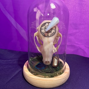 Raccoon Skull - Pendulum - Decorated Raccoon Skull - Oddities Art - Raccoon Skull Decor - Witchy - Skull - Witch - Witchcraft - Laser Etch