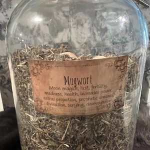 Mugwort - Mugwort Leaf - Apothecary - Herb - Spell Ingredients - Organic Herbs - Purification - Healing - Mojo Bag - Spell Jars