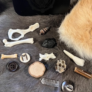 May include: A collection of various objects, including bones, a seashell, a wooden disc, a crystal, a button, a honeycomb, a piece of wood, a metal knob, and a black stone. The objects are arranged on a furry surface.