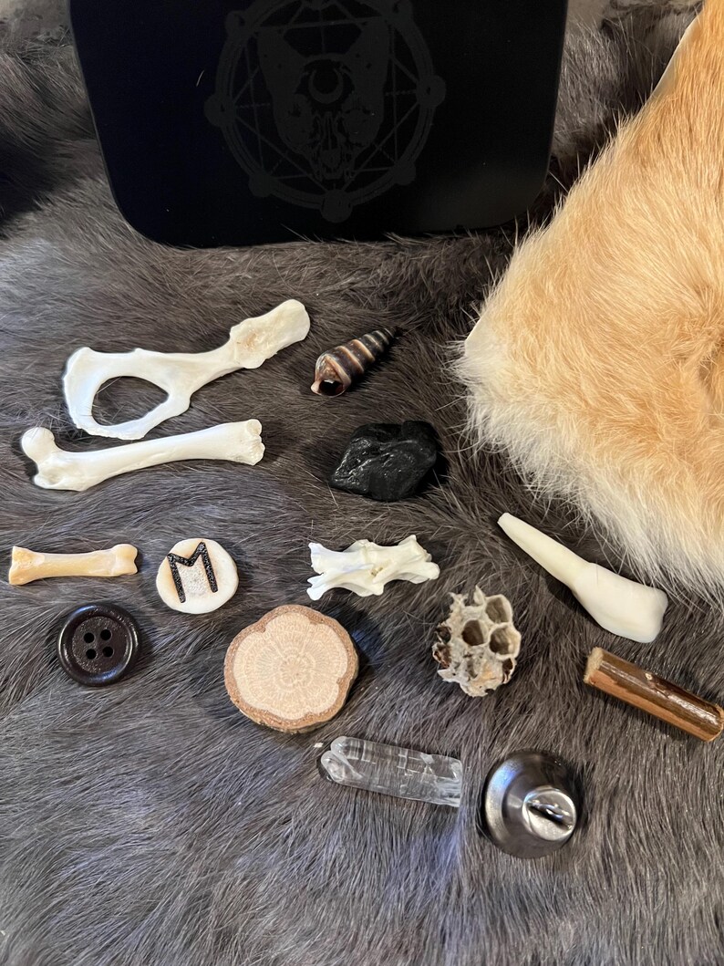 May include: A collection of various objects, including bones, a seashell, a wooden disc, a crystal, a button, a honeycomb, a piece of wood, a metal knob, and a black stone. The objects are arranged on a furry surface.