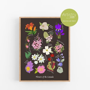 Vibrant Botanical Beauty,Flowers of Canada Art Print, Floral Decor,Canadian Wildflower Illustration, Nature Wall Art, Floral Print