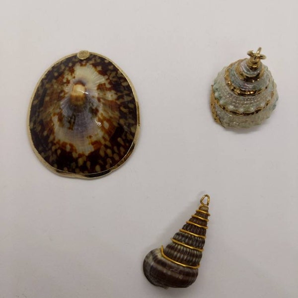 Shell findings 2-Gold Edged 1-Wire-wrapped Salvaged Repurpose Jewelry Craft Upcycle