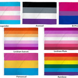 May include: A collection of pride flags, including transgender, asexual, bi pride, lesbian sunset, lesbian plain, pansexual, and rainbow flags.