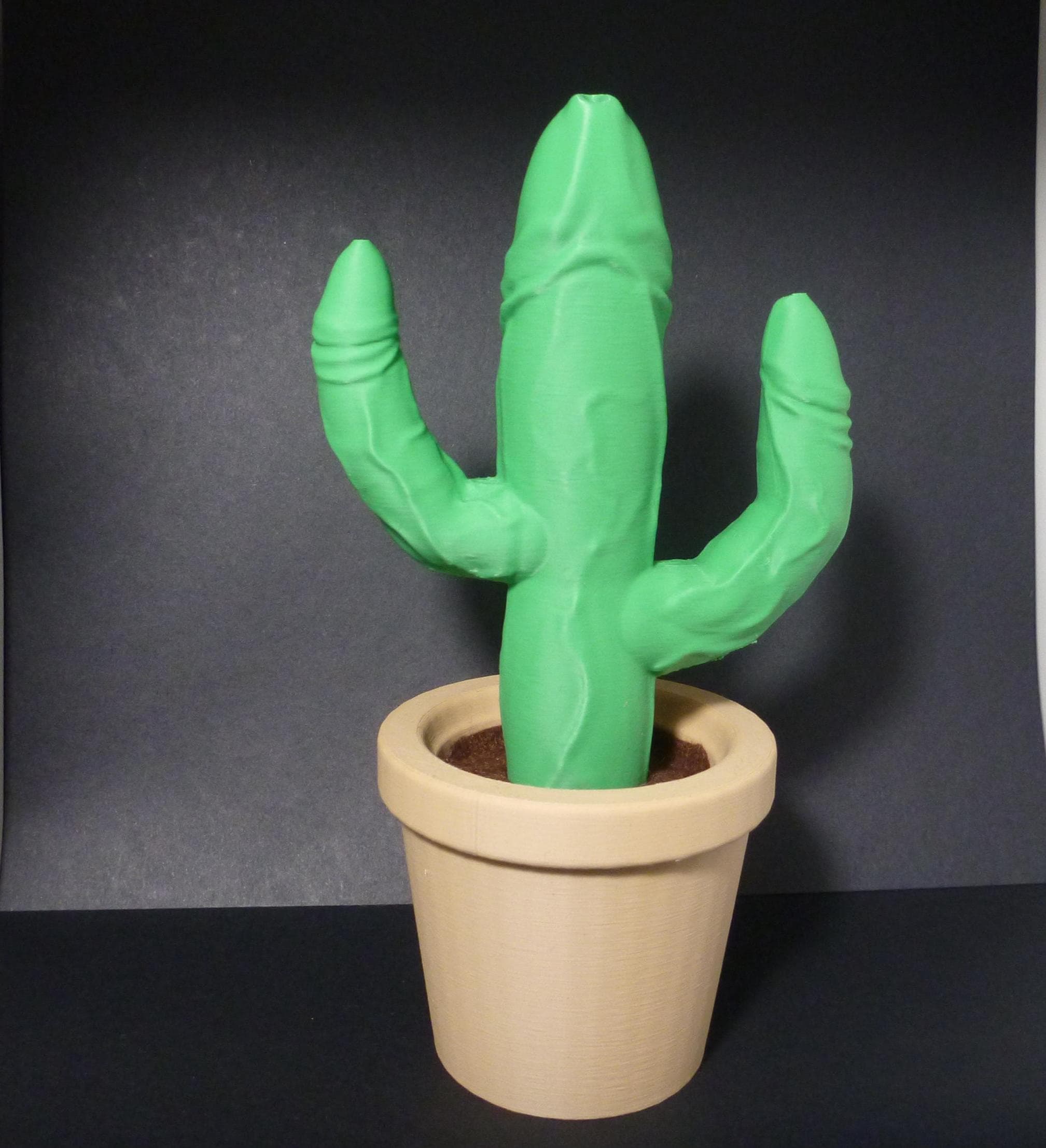 Cactus Dildo - Etsy