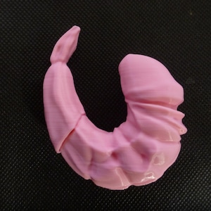 May include: A pink 3D printed shrimp figurine. The shrimp is curled into a C shape with its tail curled up.