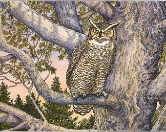 May include: A detailed illustration of a Great Horned Owl perched on a tree branch. The owl has brown and white speckled feathers, yellow eyes, and prominent ear tufts. The tree branches and leaves are also intricately drawn, with a soft, colorful background.