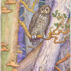Ancient Forest, Giclee Print from original watercolor and ink drawing