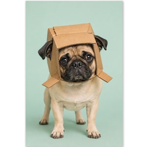 May include: A fawn-colored pug with a black muzzle and dark eyes wearing a brown cardboard box over its head. The box is square-shaped and fits around the dog's face, with the open flaps extending outward from the sides of the pug's head.