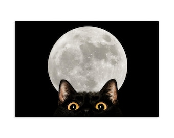 Funny Peeking Black Cat Moon Postcard