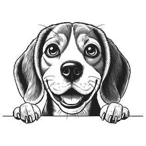 Peeking Beagle Png, Beagle Png, Transparent Png, Instant Download Png, Dog Png, Dog Png Design
