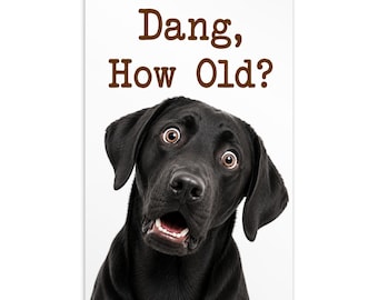 Funny Dang How Old Black Labrador Retriever Birthday Postcard