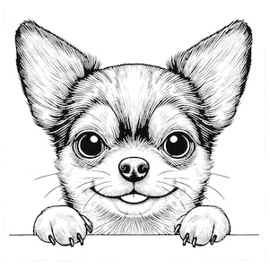 Chihuahua mirando Png, Chihuahua Png, Chihuahua mirando, Chihuahua Png Lindo, Chihuahua Png Pelo Corto, Chihuahua Png Diseño