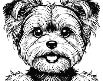 Peeking Yorkshire Terrier Png, Yorkie Png Design, Yorkie Png, Yorkshire Png, Transparent Png, Natychmiastowe pobieranie Png