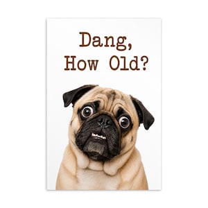 May include: A rectangular greeting card featuring a fawn-coloured pug with a black muzzle and wide, surprised eyes. The text "Dang, How Old?" is printed in brown, sans-serif letters above the dog's head against a plain white background.