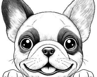 Bulldog francés mirando PNG, PNG transparente, Bulldog francés Png, Descarga instantánea Png, Frenchie Png