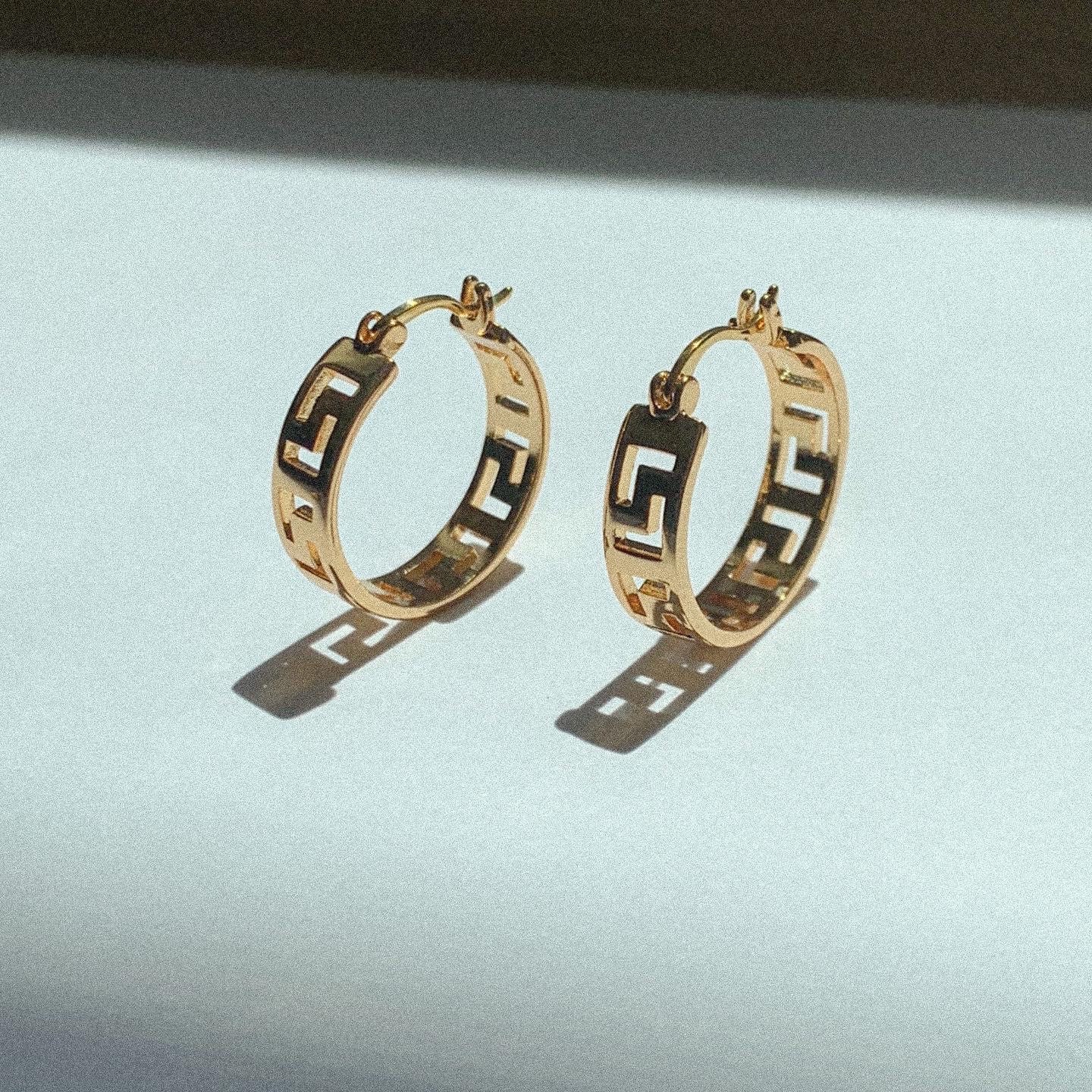 Louis Vuitton Hoop Fashion Earrings