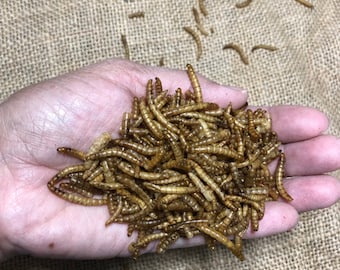 Dried Mealworms - Chicken & Duck Treat - 1 lb bag