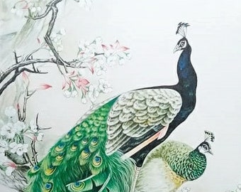 Very Beautiful Peacock Painting