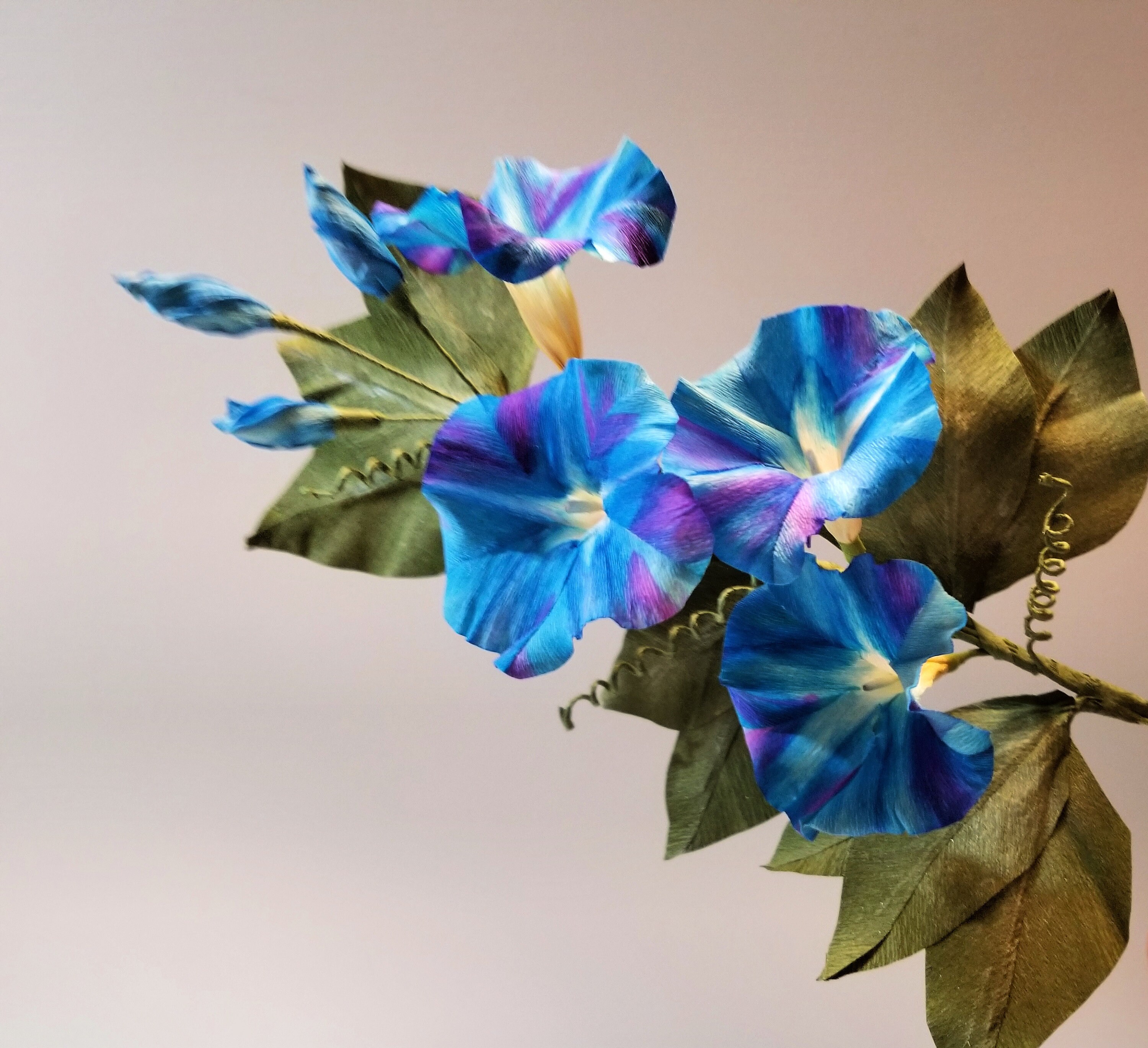 Crepe Paper Flower Morning Glory Vine, Handmade And Photographed By