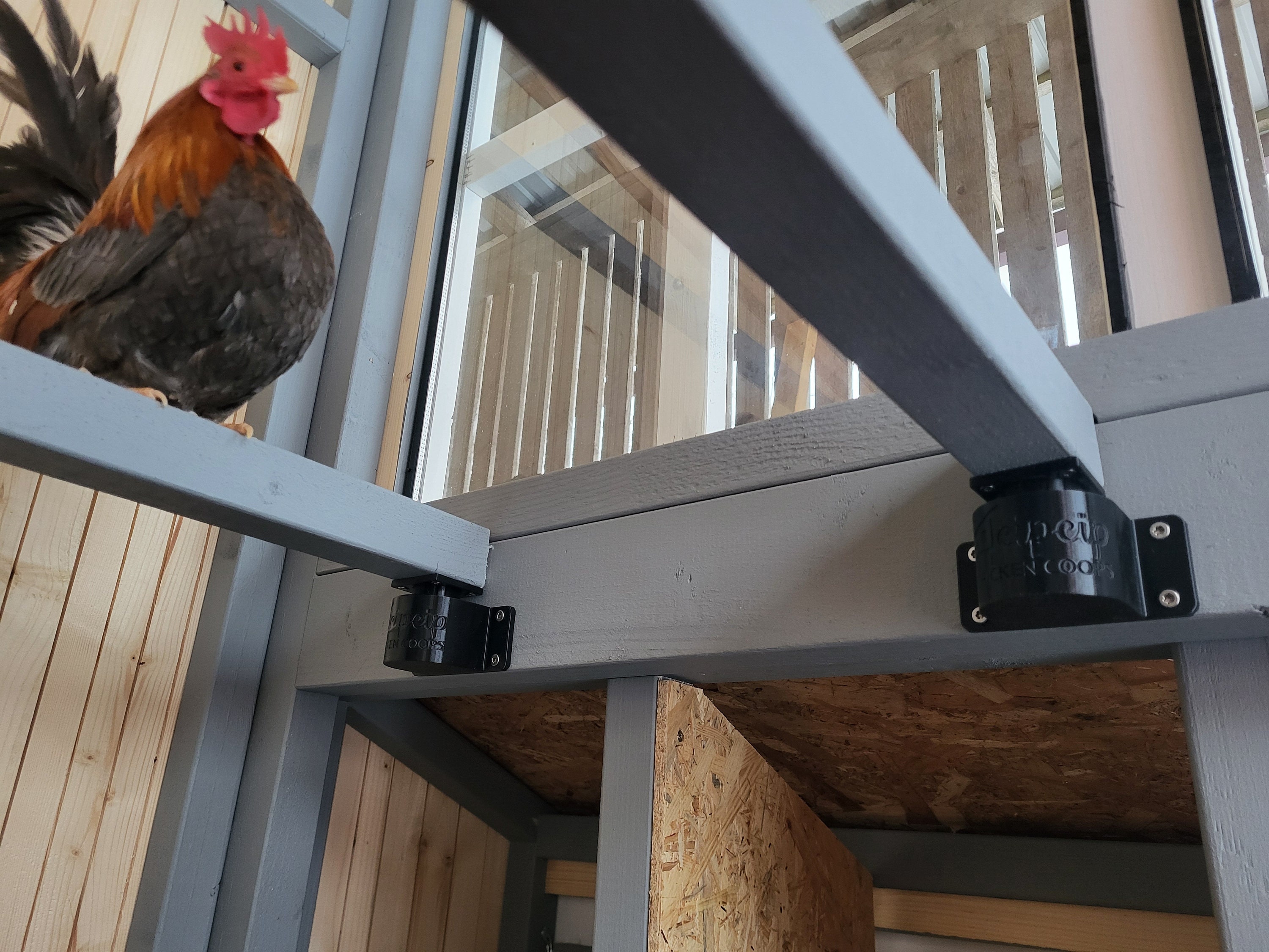 Red Mite Trap, Prevention Kit for Chicken Coop Roost Perch. Chicken