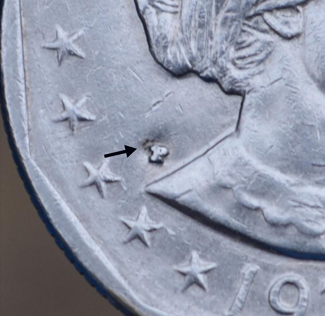 1979-P Susan B Anthony One Dollar Error Coin, Collectible Rare Dollar ...