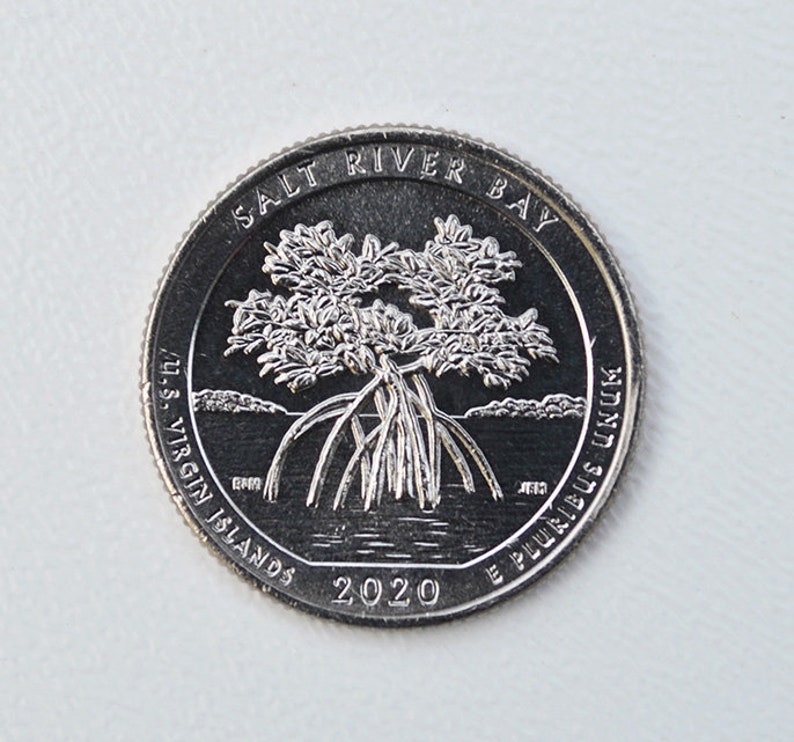 2020W Salt River Bay Washington Quarter Collectible Rare Etsy